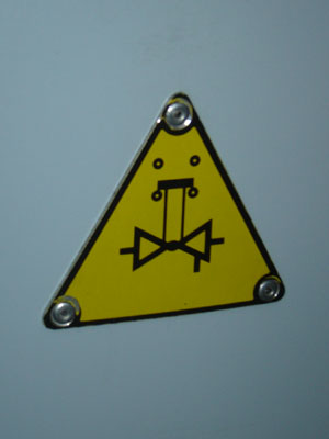 rostro-amarillo